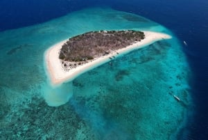 Banyuwangi: snorkeling alle isole Cervo e Tabuhan (12 ore)