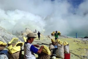 Banyuwangi eller Bali Sunrise Ijen Vulcano Hiking All Inclusive