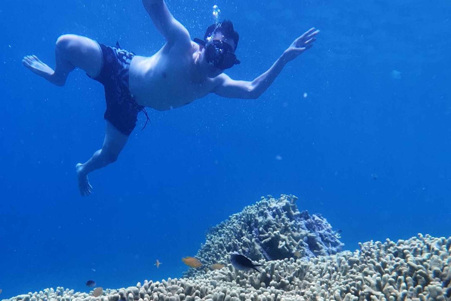 Banyuwangi: mergulho de snorkel nas ilhas Tabuhan e Menjangan