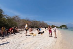 Grunnleggende snorkling på Menjangan Island