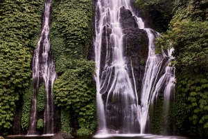 Bedugul Tour: Tanah Lot, Ulun Danu Temple, and Jatiluwih