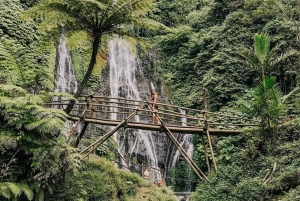 Bedugul Tour Bali Handara Gate with Banyumala Waterfall