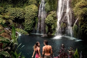 North Bali: Ulun Danu, Banyumala Waterfall and Jatiluwih