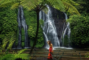 North Bali: Ulun Danu, Banyumala Waterfall and Jatiluwih