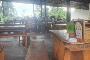 Bali: ATV Quad Bike Ride Jungle & River Adventure Experience