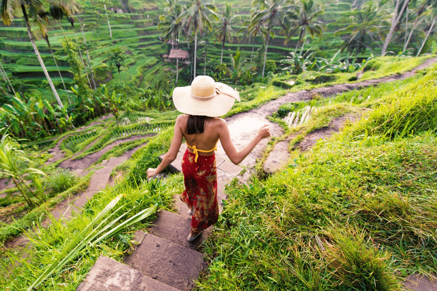 Best of Bali: Private Customizable Day Tour