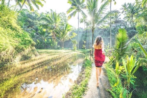 Best of Bali: Private Customizable Day Tour