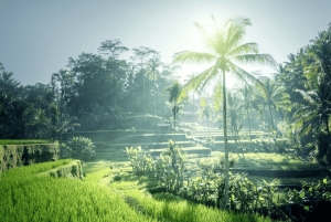 Best of Bali: Private Customizable Day Tour