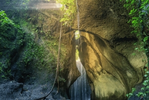 Best of Bali: Private Customizable Day Tour