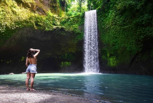 Best of Bali: Private Customizable Day Tour