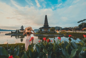 Best of Bali: Private Customizable Day Tour