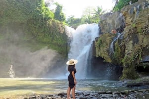 O melhor da região central de Bali: Cachoeira, caverna de elefantes e campos de arroz