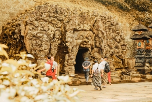 O melhor da região central de Bali: Cachoeira, caverna de elefantes e campos de arroz