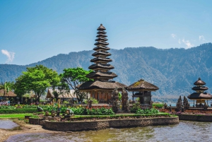 Best of Iconic Bali North West Tour - Most Scenic Site