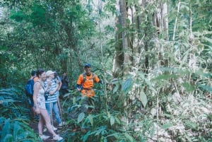 Bali: Munduk Waterfalls Trek, Twin Lakes and Temple Tour