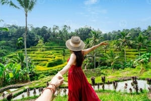 Le meilleur d'Ubud : visite privative avec un guide de la région