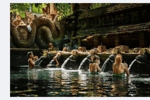 Le meilleur d'Ubud : visite privative avec un guide de la région