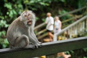 Le meilleur d'Ubud : visite privative avec un guide de la région