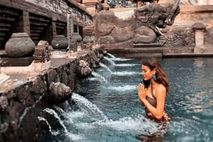 Le meilleur d'Ubud : visite privative avec un guide de la région