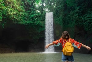 Le meilleur d'Ubud : visite privative avec un guide de la région