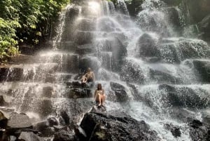 Le meilleur d'Ubud : visite privative avec un guide de la région