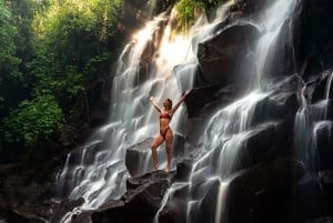 Le meilleur d'Ubud : visite privative avec un guide de la région