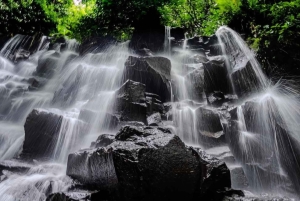 Best of Ubud: Waterfall, Temple & Rice Terrace