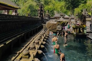 Best of Ubud: Waterfall, Temple & Rice Terrace
