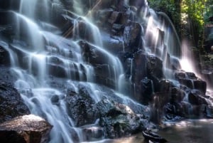 Bali: Ubudin vesiputoukset, riisiterassit ja viidakkokeinu retki