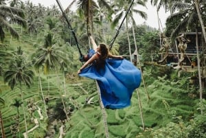 Bali: Ubudin vesiputoukset, riisiterassit ja viidakkokeinu retki