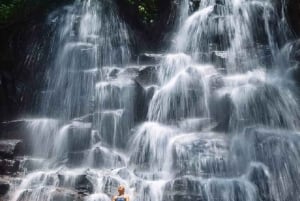 Bali: Ubud vandfald, risterrasser og junglesvingtur