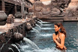 Best Ubud Tour Experience with Magical Kecak Dance