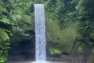 Najlepsze wodospady, świątynia świętej wody i tarasy ryżowe