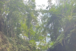 Najlepsze wodospady, świątynia świętej wody i tarasy ryżowe