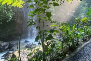 Najlepsze wodospady, świątynia świętej wody i tarasy ryżowe