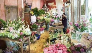 Bloomz Fine Flowers