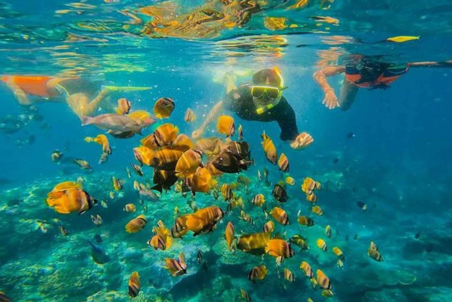 Itä-Bali : Blue Lagoon Snorkeling - Kaikki mukaan lukien