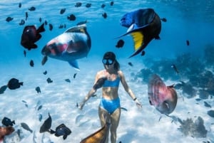 Leste de Bali: Snorkeling na Lagoa Azul - Tudo incluído