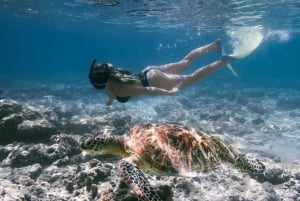 Øst-Bali: Snorkling i den blå lagunen - alt inkludert