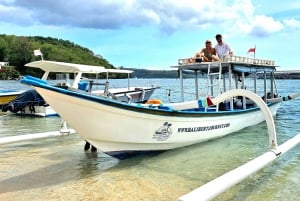 Blue Lagoon Snorkeling Tour en bateau privé sur le pont arrière
