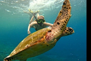 Excursión de snorkel a la Laguna Azul en barco privado con terraza