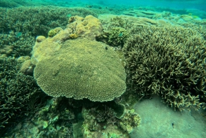 Excursión de snorkel a la Laguna Azul en barco privado con terraza