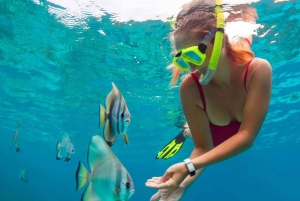 Blue lagoon Snorkeling Tour with Lunch & Private Transfers