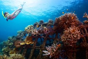 Blue lagoon Snorkeling Tour with Lunch & Private Transfers