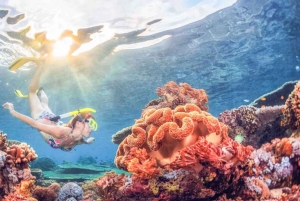 Blue lagoon Snorkeling Tour with Lunch & Private Transfers