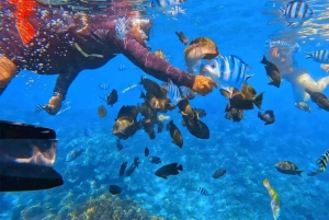 Blue lagoon Snorkeling Tour with Lunch & Private Transfers