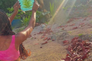 Botanical Printing in Bali