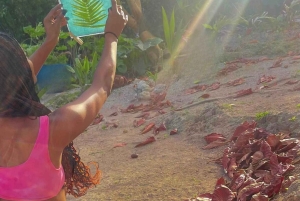 Botanical Printing in Bali