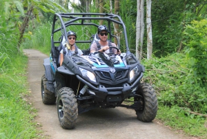 Buggy Discovery and Canyon Tubing Adventure