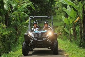 Buggy Discovery and Canyon Tubing Adventure
